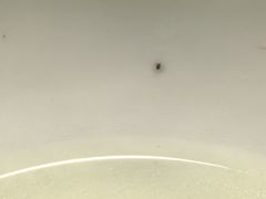 -大鹏饭店·金陵家宴(奥体中心店)