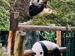 -南昌动物园