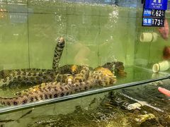 -天鹰观渔(梦园店)