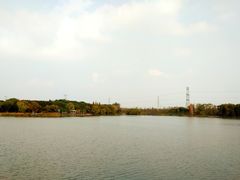 -昆山城市生态森林公园