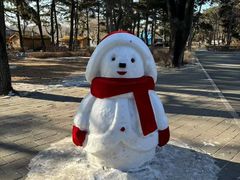 -长春市南湖公园