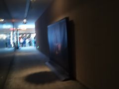 -汉阳天河电影城(王家湾店)