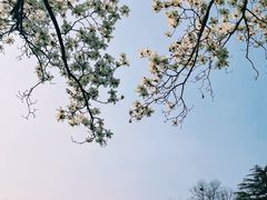-国家植物园