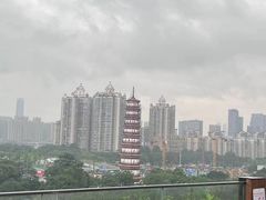 -小茶闲舍·观景商务茶馆(广州塔店)