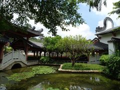 -广东花都湖国家湿地公园