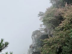 -庐山风景区花径公园