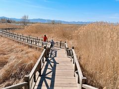 -野鸭湖国家湿地公园