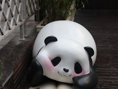 -轩客会(熊猫书店)