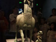 -广西壮族自治区博物馆