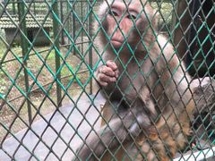 -藏龙百瀑风景区