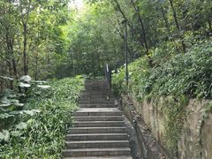 -王借岗森林公园