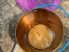 -碓臼峪自然风景区