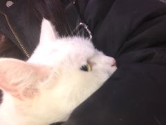 -宠颐生中康贝怡动物医院