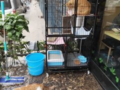 -秦镇郭家米皮(大庆路店)