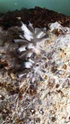 -艾维庭美容纤体SPA