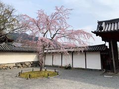 -醍醐寺