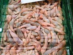 -毕家疃综合市场