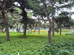 -北陵公园