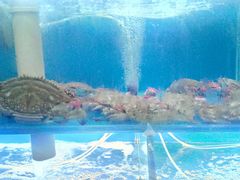 -前王院•巧克力海鲜市集餐厅(万平口店)