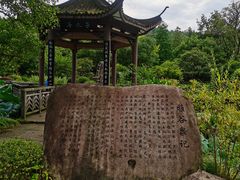 -杭州雅谷泉山庄酒店-餐厅