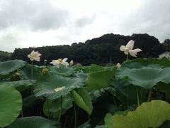 -古田会议纪念馆