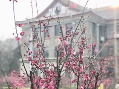 -山东师范大学(千佛山校区)