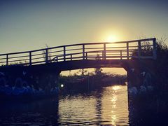 -八仔大富楼·河鲜(西江店)