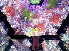 -海合安武汉极地海洋公园