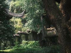 -惠山古镇·寄畅园