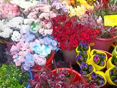 -循礼门鲜花花市(武汉循礼门店)