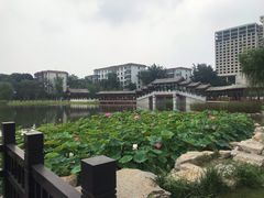 -西海子公园