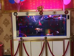 -大桶大足浴(南翔店)