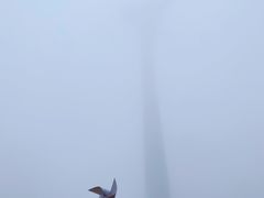 -东白山