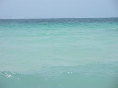 -月光岛
