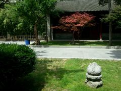 -罔极寺