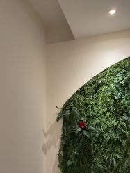 -香秀空间科技抗衰·美容中心