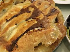 -陶然饺子城(奥体中路店)