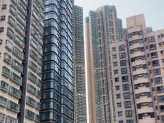 -香港大学