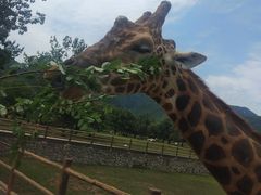 -西安秦岭野生动物园