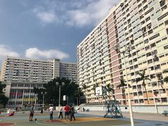 -彩虹村