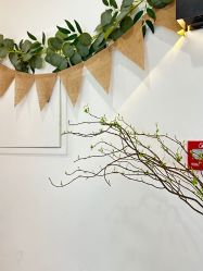 点击看大图 -AN普拉提·健身工作室