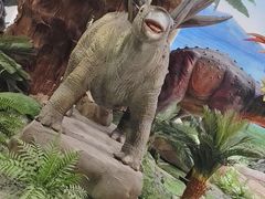 -辽宁古生物博物馆