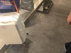 -仁和四季涮肉馆(天坛南门店)