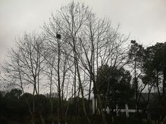 -苏州环秀晓筑养生度假村