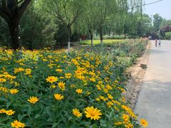 -永定河休闲森林公园