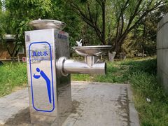 -大兴滨河森林公园