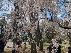 -京都御所