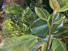 -木屋烧烤(坂田天安云谷店)