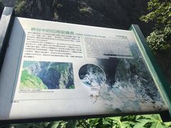 -太鲁阁公园