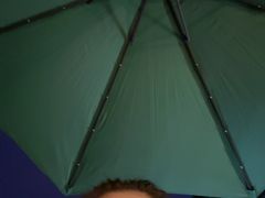 -Sirena海妖日咖夜酒